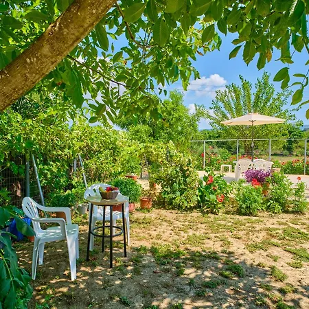 Stacys Near Sidari